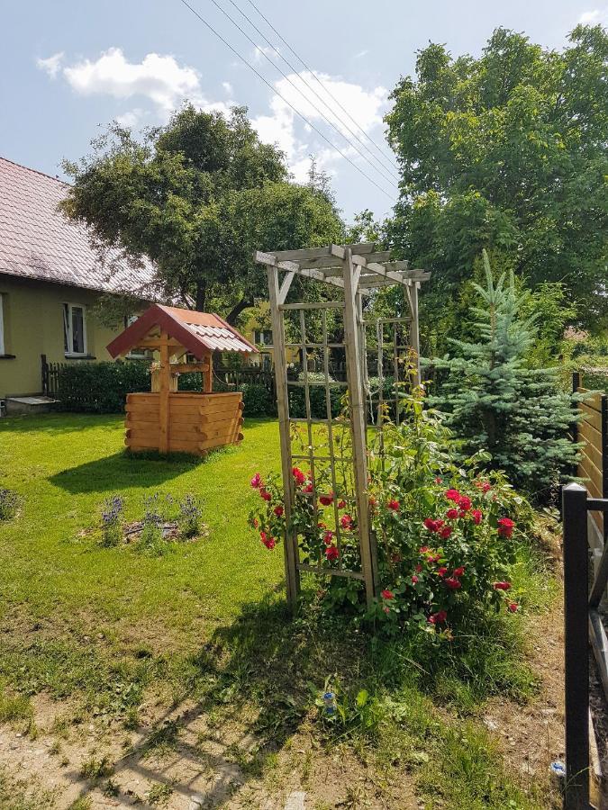 Radzieje Oliwkowe Jerzykowo -Klimatyzacjaヴィラ エクステリア 写真