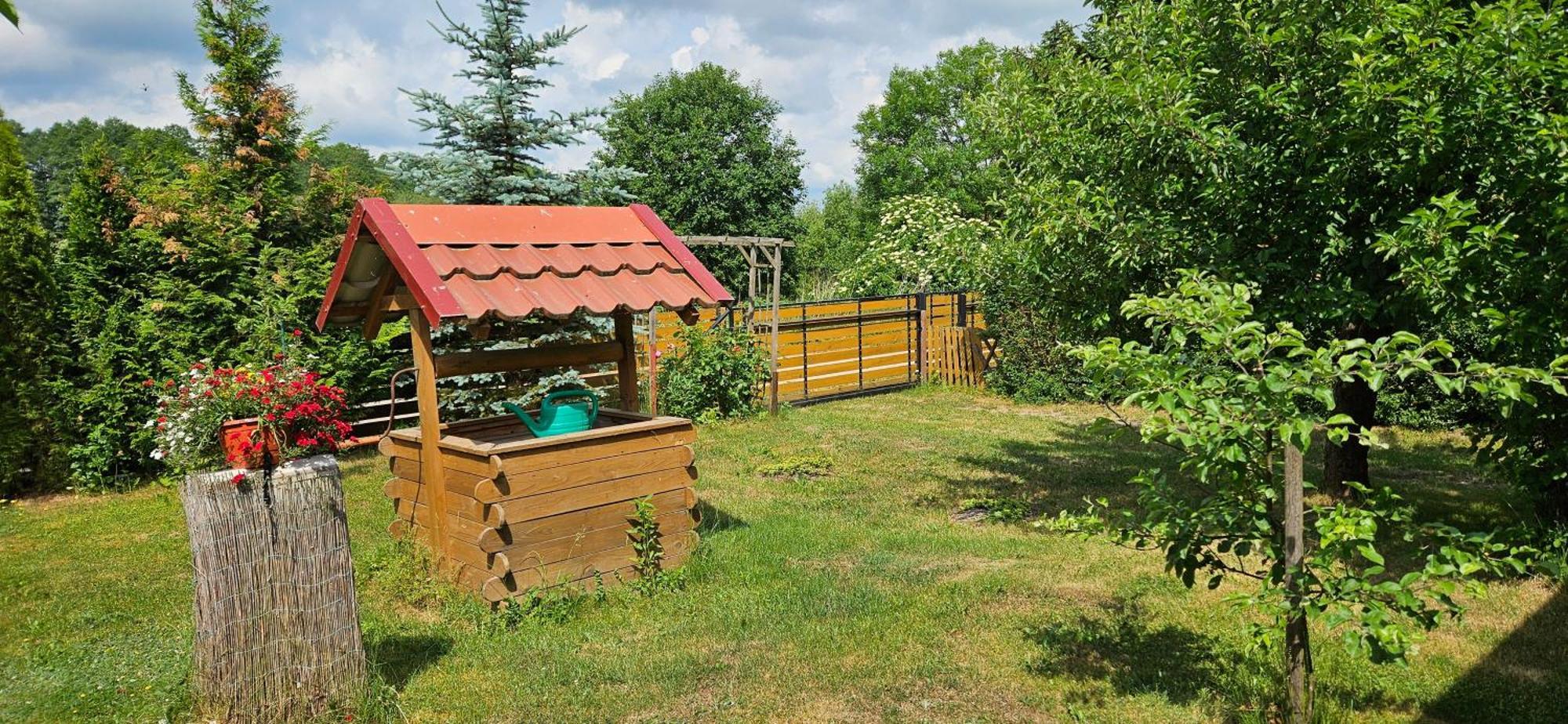 Radzieje Oliwkowe Jerzykowo -Klimatyzacjaヴィラ エクステリア 写真
